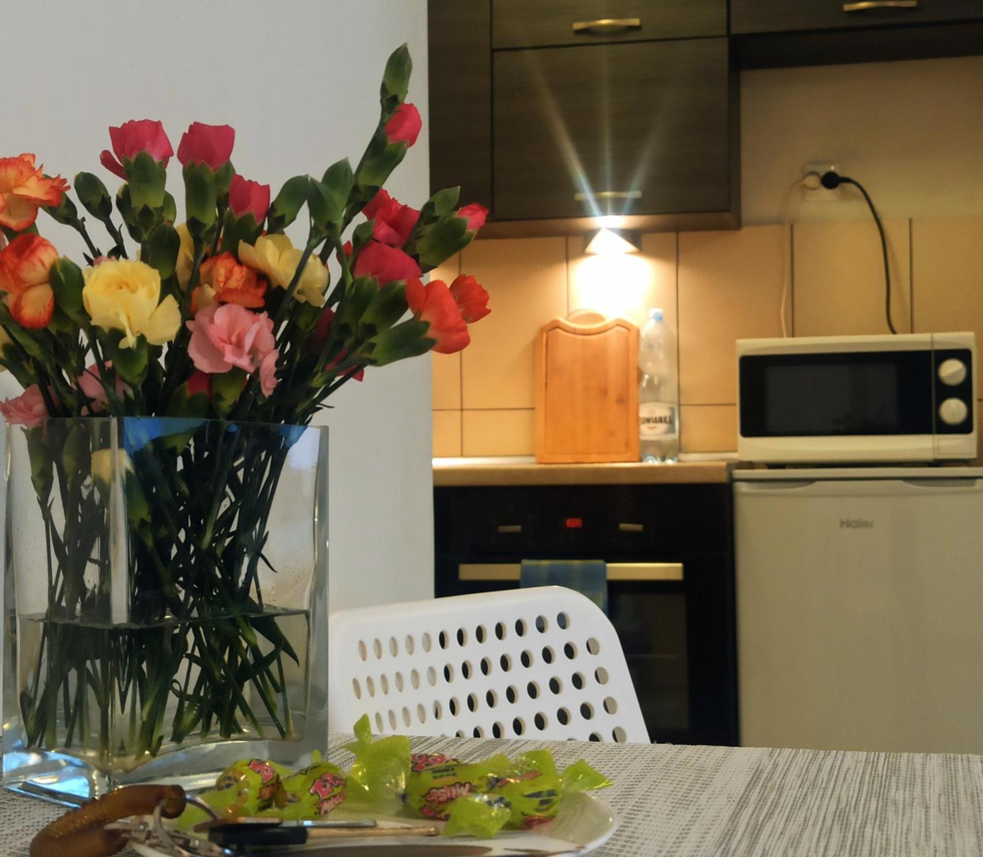 Apartamenty Spodek Κατοβίτσε Εξωτερικό φωτογραφία